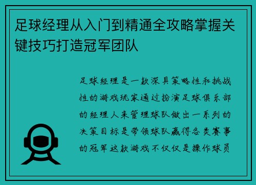 足球经理从入门到精通全攻略掌握关键技巧打造冠军团队
