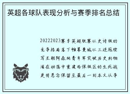 英超各球队表现分析与赛季排名总结