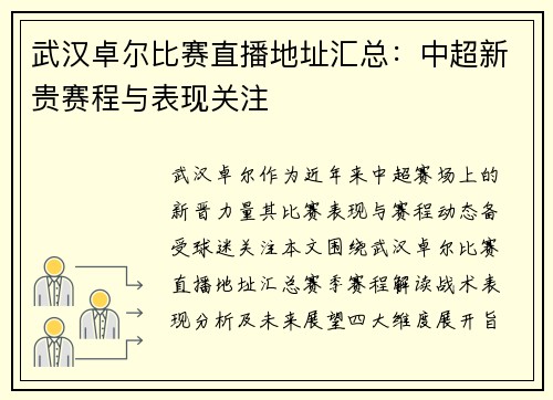武汉卓尔比赛直播地址汇总：中超新贵赛程与表现关注
